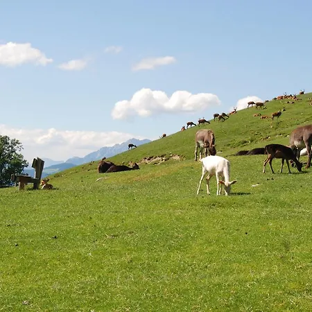 Apartament Kaiserblick