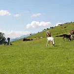 アパート Kaiserblick